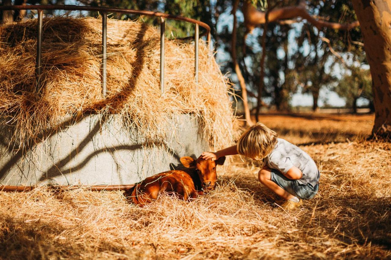 Margaret River Holiday Cottages Екстериор снимка