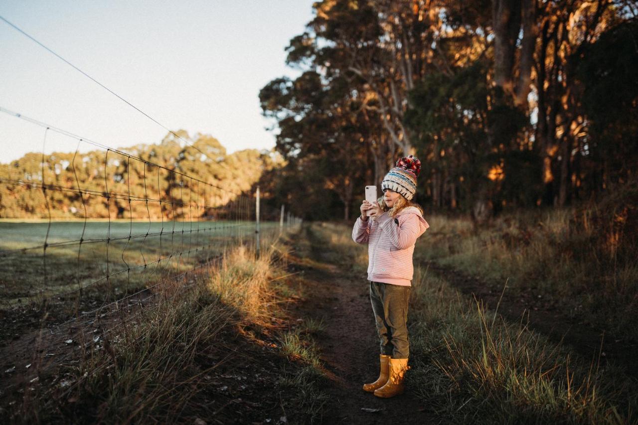 Margaret River Holiday Cottages Екстериор снимка