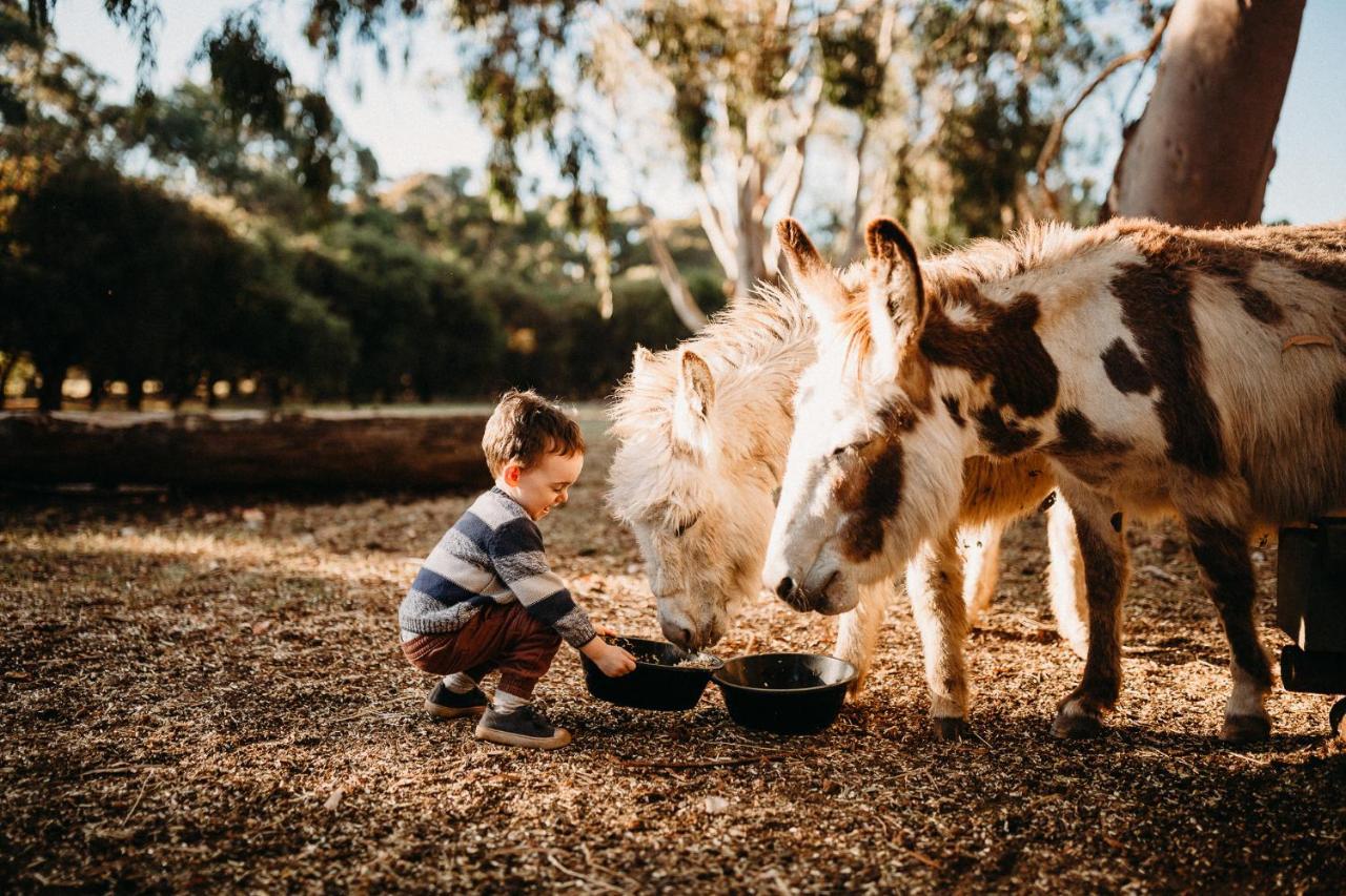 Margaret River Holiday Cottages Екстериор снимка