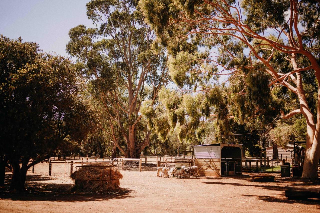 Margaret River Holiday Cottages Екстериор снимка