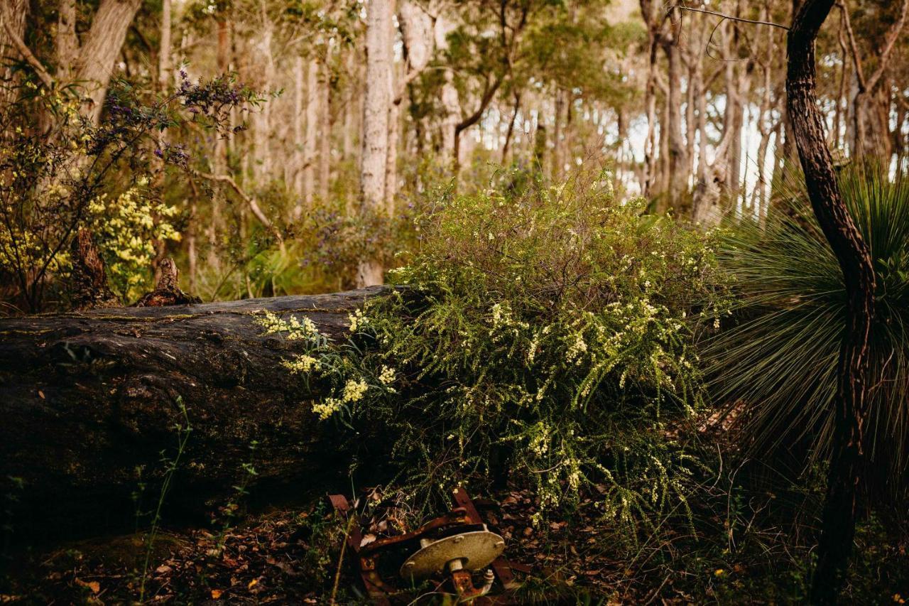 Margaret River Holiday Cottages Екстериор снимка